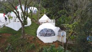 an igloo house in a garden with a tree at San Miguel River Park (SMRP) Glamping 