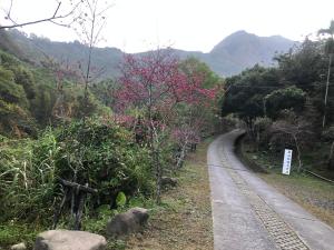 Foto de la galeria de 秋憶木屋 a Gukeng