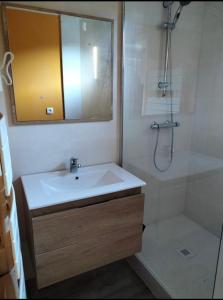 y baño con lavabo, ducha y espejo. en Appartement Station de ski - Les Agudes - 6 pers, en Gouaux-de-Larboust