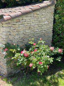 Vonkajšia záhrada v ubytovaní La Luberonne gordes