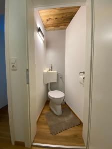 a small bathroom with a toilet and a sink at Ferienwohnung Lechner Traudi Kreuzschied 141 in Neukirchen am Großvenediger