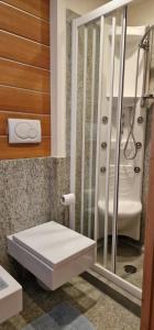 La salle de bains est pourvue d'une douche, de toilettes et d'un lavabo. dans l'établissement Chalet Yvonne, à Borca di Cadore