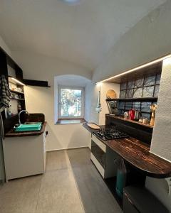 Lambichl的住宿－Wood Apartement，一间带柜台和炉灶的厨房 顶部烤箱