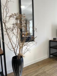 a black vase with branches in front of a mirror at Style et ambiance in Foix