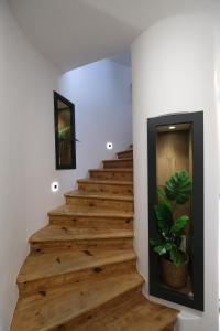 a staircase with wooden floors and a plant at Apartments Emona FREE Parking-sauna-gym in Ljubljana