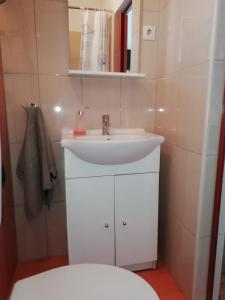 Koupelna v ubytování Apartman Ines + 15 fotografií