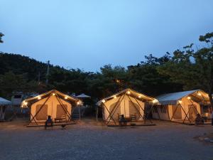 a group of tents in a field at night at Club Lespia in Taean in Taean