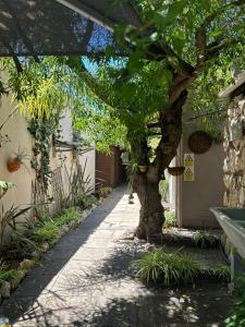 a tree in the middle of a walk way at Cozy Corner Cottage in Langebaan