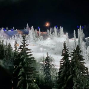 a ski slope with snow covered trees at night at D&D Apartman Jahorina in Jahorina