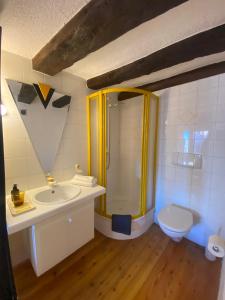 a bathroom with a shower and a sink and a toilet at Chambre sur terrasse in Nendaz