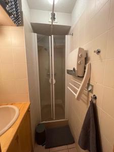 a bathroom with a shower and a sink at La forêt des Rennes in Villard-sur-Doron