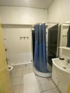 a bathroom with a shower with a blue shower curtain at Locations de la centrale de Belleville in Neuvy-sur-Loire +48 photos