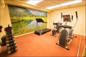 Fitness centrum a/nebo fitness zařízení v ubytování Geiser Grand Hotel
