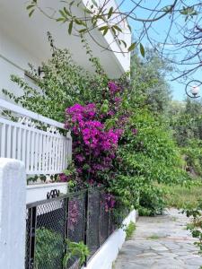 una cerca con flores púrpuras en un lado de una casa en Vintage Apartment mit Herz, en Pyrgadikia