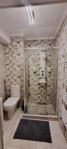 a bathroom with a shower with a toilet and a sink at Alexys Top Residence Predeal in Predeal