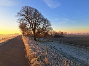 een boom aan de kant van een weg naast een hek bij Bie Oans Oefje in Lewedorp