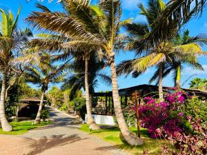 una fila di palme di fronte a un resort di Villa with privat pool near beach Santa Maria Sal Kap Verde a Prainha