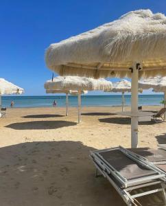 a beach with chairs and umbrellas and the ocean at Casa al Mare Pescara in Pescara
