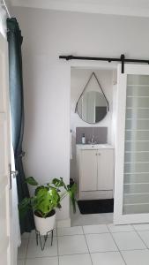 ein Badezimmer mit einem Waschbecken, einem Spiegel und einer Pflanze in der Unterkunft Refreshing Space in Eden Glen, Johannesburg, SA in Edenvale