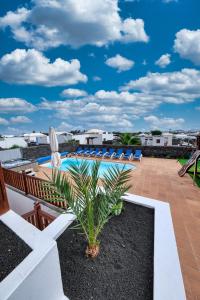 een zwembad met stoelen en een palmboom op een patio bij Villa Flavia - Private Pool, Jacuzzi, BBQ and Game Room By Lanzarote Vacation Homes in Playa Blanca