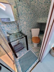 a bathroom with a toilet and a glass shower at Gîte Milly - 2 studios en coeur de ville in Milly-la-Forêt
