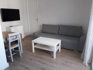 Televízia a/alebo spoločenská miestnosť v ubytovaní Logement tout neuf avec piscine et bord de mer