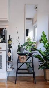 Kuchyň nebo kuchyňský kout v ubytování Cosy apartment