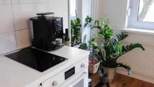 Kuchyň nebo kuchyňský kout v ubytování Cosy apartment