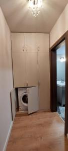 a laundry room with a washing machine and a sink at Monica City Apartament in Timişoara