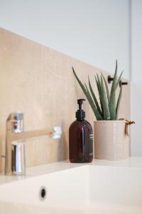 a bottle of soap on a bathroom sink with a plant at Park Avenue Apartments - Dom mit Stil - Küche - Parkplatz - WLAN - 65 Zoll TV - NETFLIX in Cologne