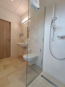 een badkamer met een douche, een toilet en een wastafel bij Gesundheits- & Wellnessresort Salzerbad in Kleinzell