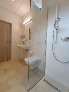 a bathroom with a shower and a toilet and a sink at Gesundheits- & Wellnessresort Salzerbad in Kleinzell