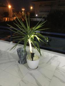 Fotografie z fotogalerie ubytování Duplex - 500m from Mil Palmeras Beach v destinaci Pilar de la Horadada
