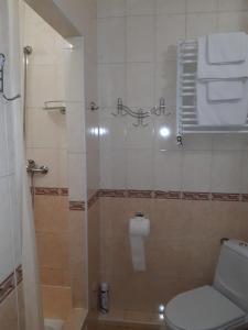 uma casa de banho com um WC e uma cabina de duche em vidro. em Ra em Bukovel