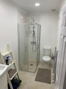 a bathroom with a shower and a toilet at Rainbow Quays in London