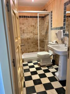 a bathroom with a toilet and a tub and a sink at Hotel Casa Henrietta in Jimena de la Frontera