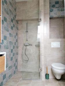 een badkamer met een douche en een toilet bij Jarun Apartman "Runolist" in Zagreb