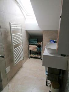 een badkamer met een wastafel en een douche met een raam bij Jarun Apartman "Runolist" in Zagreb