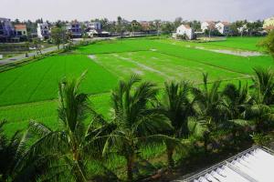 Zahrada ubytování Hoang Y Homestay