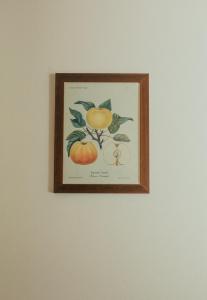 Fotografie z fotogalerie ubytování Bellavista Apartments v destinaci Lenno