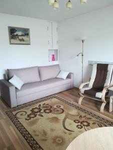 sala de estar con sofá y alfombra en Apartament Praski 5 minut od metra i starego miasta spacerem do zoo i Konesera en Varsovia