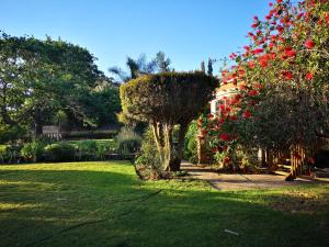a garden with red flowers and trees and a house at Frieden-Hof Guest Accommodation in Penhill