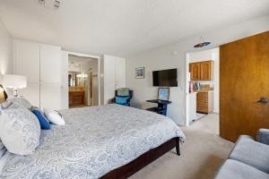 a bedroom with a large bed and a television at Golden Sand Retreat in Cayucos
