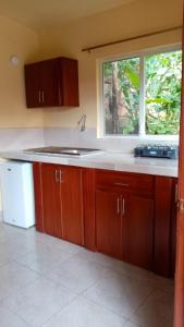 cocina con fregadero y ventana en Hostal Tena Ñaui, en Tena