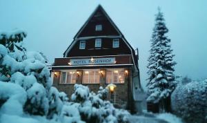 un restaurante del hotel con luces de Navidad en la nieve en Hotel Rosenhof Braunlage, en Braunlage