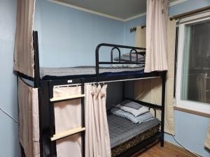 two bunk beds in a room with a window at Birdsnest Hostel Hongdae Foreigner only in Seoul