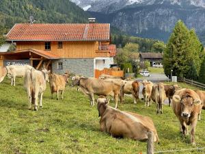 Animales en el apartamento o alrededores