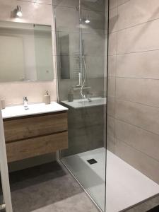 ein Bad mit einer Dusche und einem Waschbecken in der Unterkunft Appartement moderne & lumineux 40m2 Centre Luxeuil in Luxeuil-les-Bains