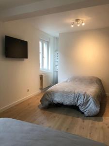 Schlafzimmer mit einem Bett und einem Flachbild-TV in der Unterkunft Appartement moderne & lumineux 40m2 Centre Luxeuil in Luxeuil-les-Bains