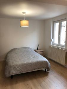 ein Schlafzimmer mit einem Bett in einem Zimmer mit einem Fenster in der Unterkunft Appartement moderne & lumineux 40m2 Centre Luxeuil in Luxeuil-les-Bains